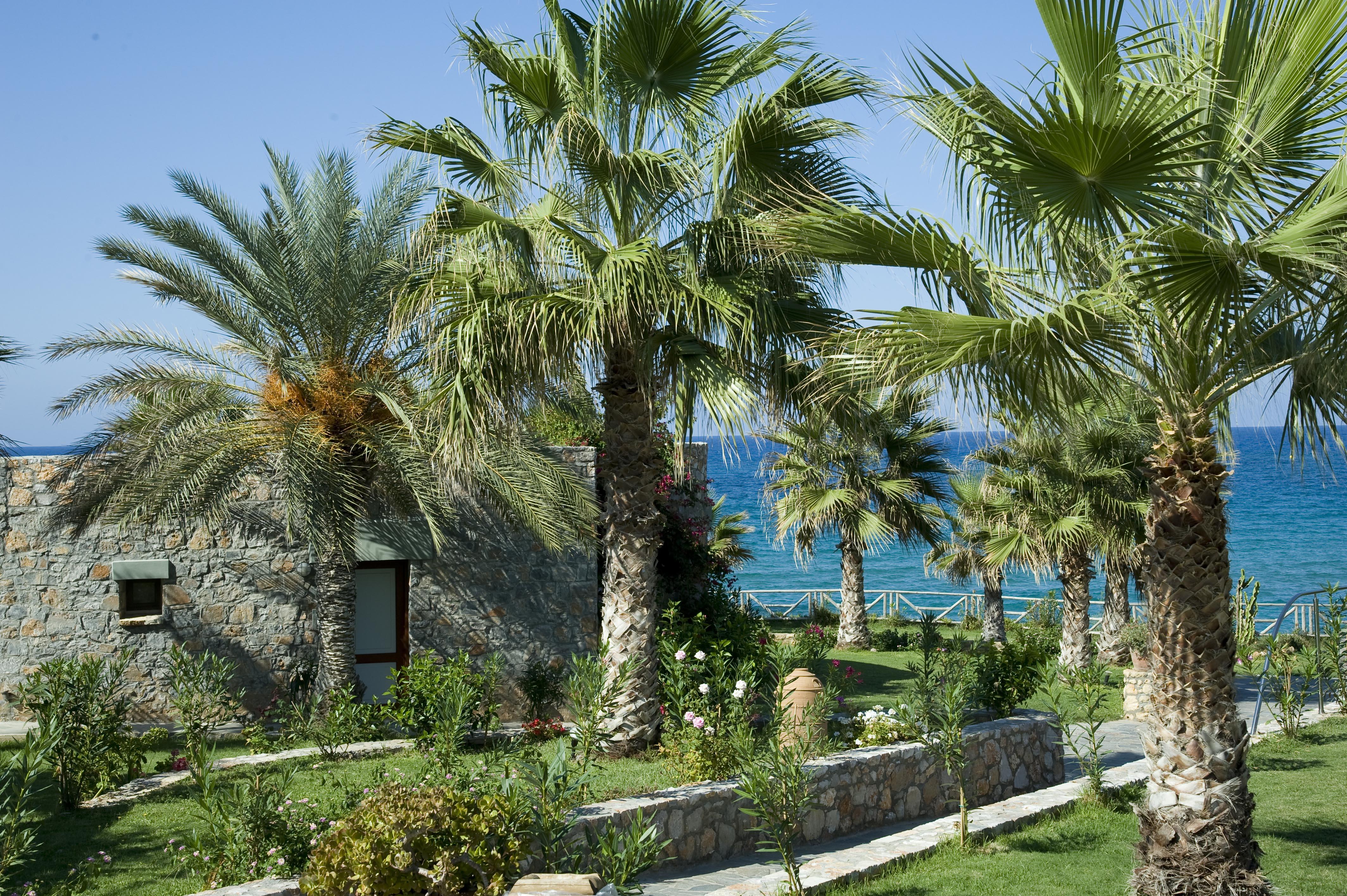 Ikaros Beach, Luxury Resort & Spa - Adults Only มาเลีย ภายนอก รูปภาพ